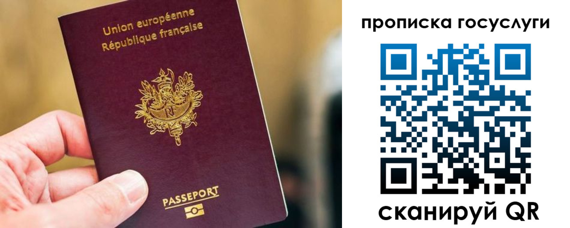 временная регистрация поиск в Владивостоке